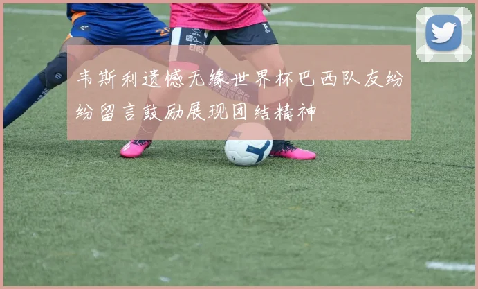 韦斯利遗憾无缘世界杯巴西队友纷纷留言鼓励展现团结精神