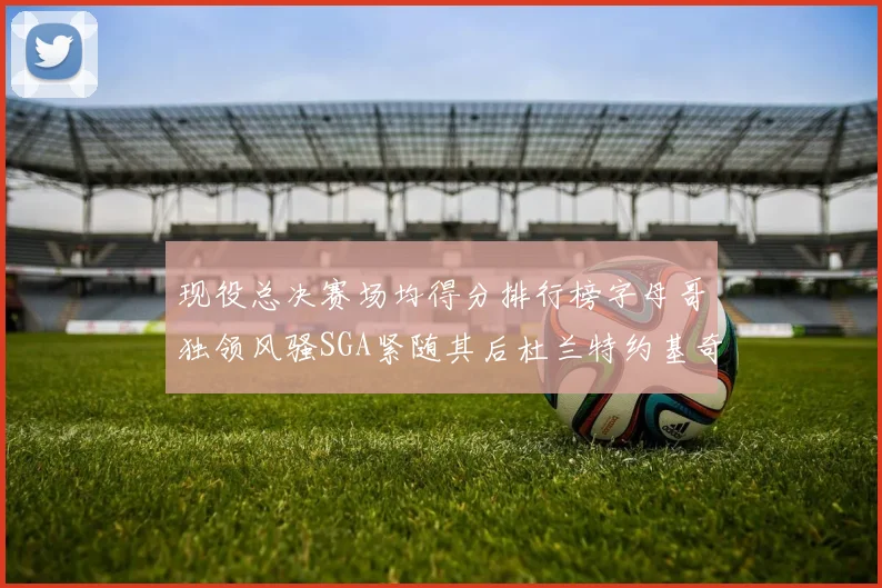 现役总决赛场均得分排行榜字母哥独领风骚SGA紧随其后杜兰特约基奇东契奇争夺第三
