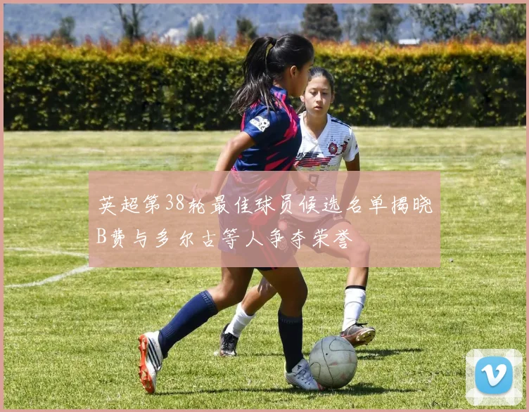 英超第38轮最佳球员候选名单揭晓B费与多尔古等人争夺荣誉